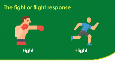 Fight or Flight